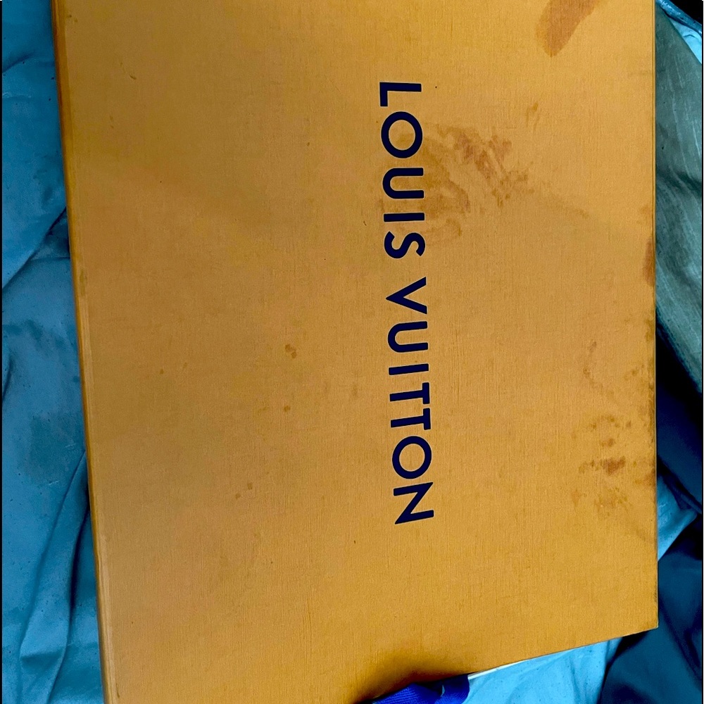 Louis Vuitton rivoli trainer boots